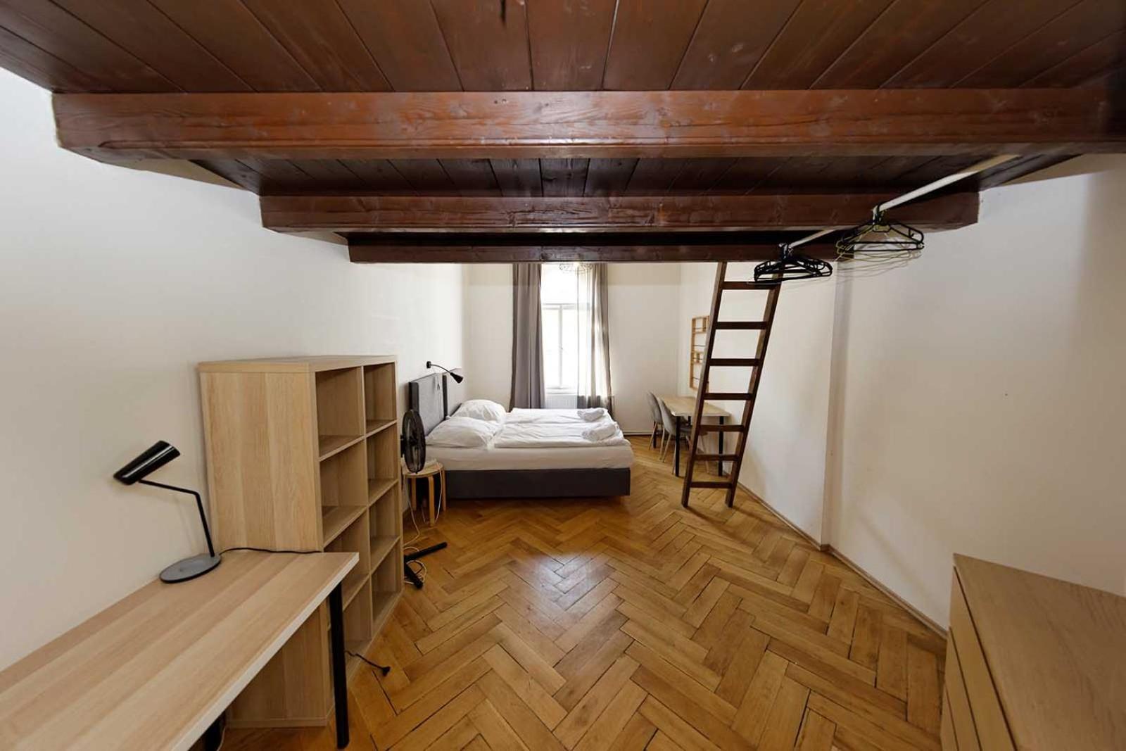 Jiriho Z Podebrad Apartment *